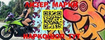 СК Бердск