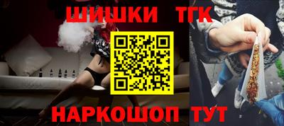 СК Бердск