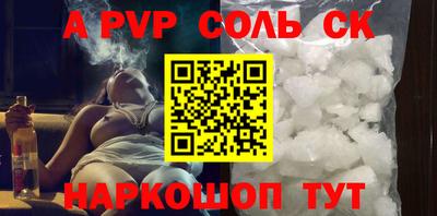 СК Бердск