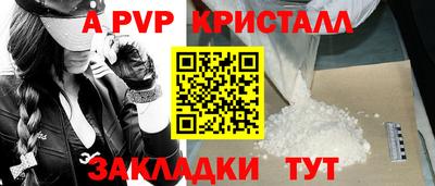 СК Бердск