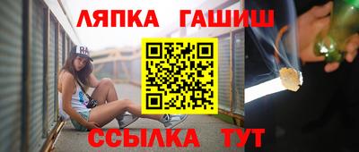 СК Бердск