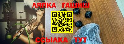 СК Бердск