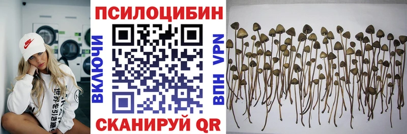 Псилоцибиновые грибы Psilocybe  omg ONION  Иркутск 