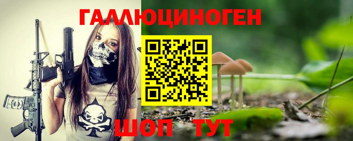 Псилоцибиновые грибы Cubensis  Вход с VPN  Иркутск 